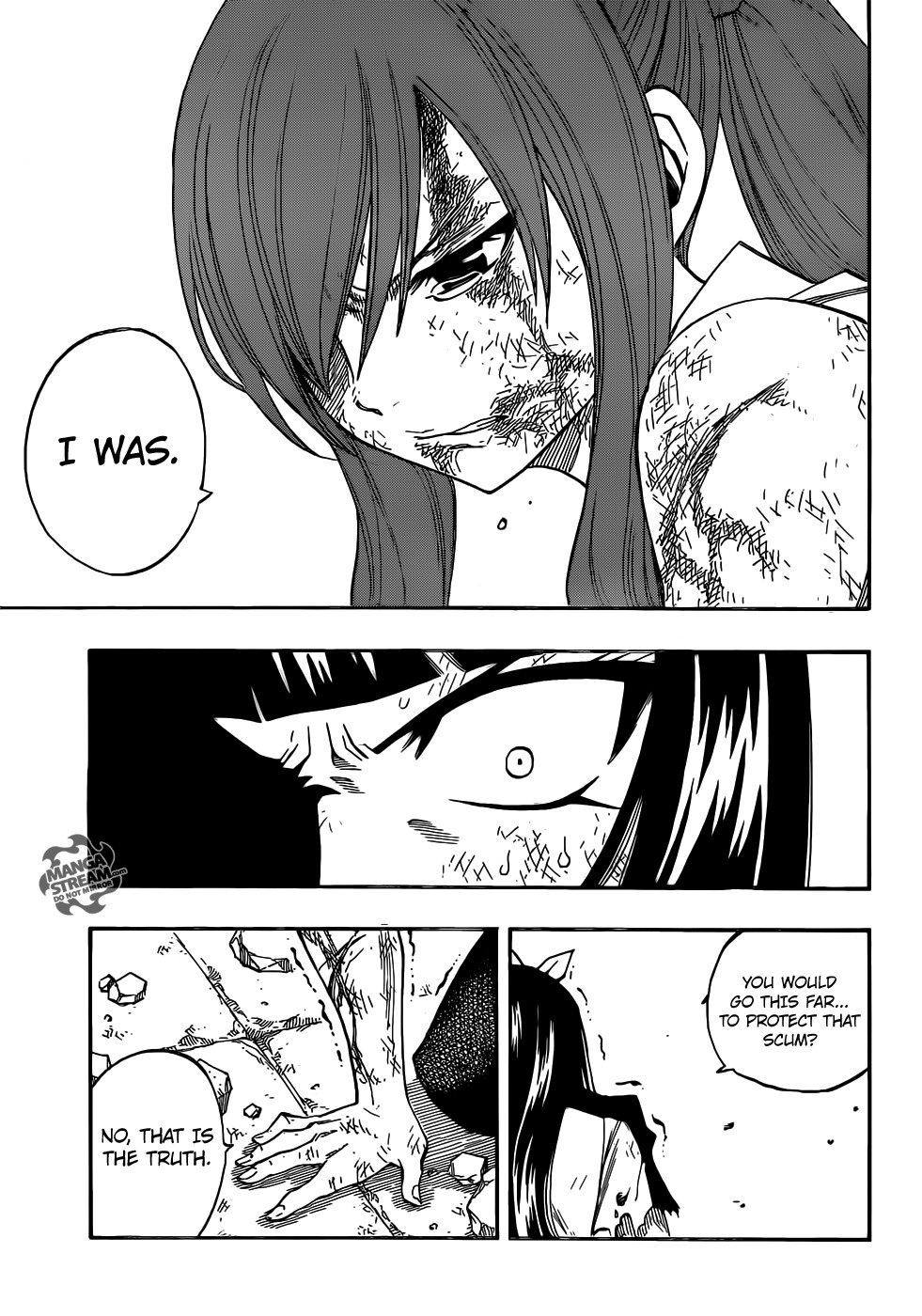 Fairy Tail Chapter 314 20